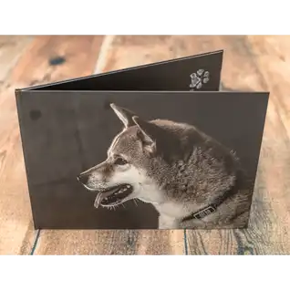 等身大アルバム