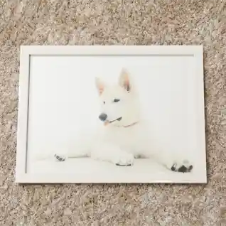 B5プリントフレーム