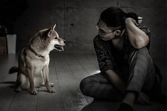 60分撮影のイメージ