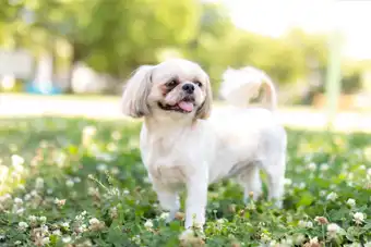 ロケーション撮影のイメージ