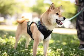 ロケーション撮影のイメージ