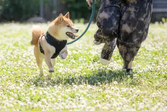 ロケーション撮影のイメージ